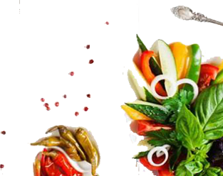 Indian Veg Restaurant